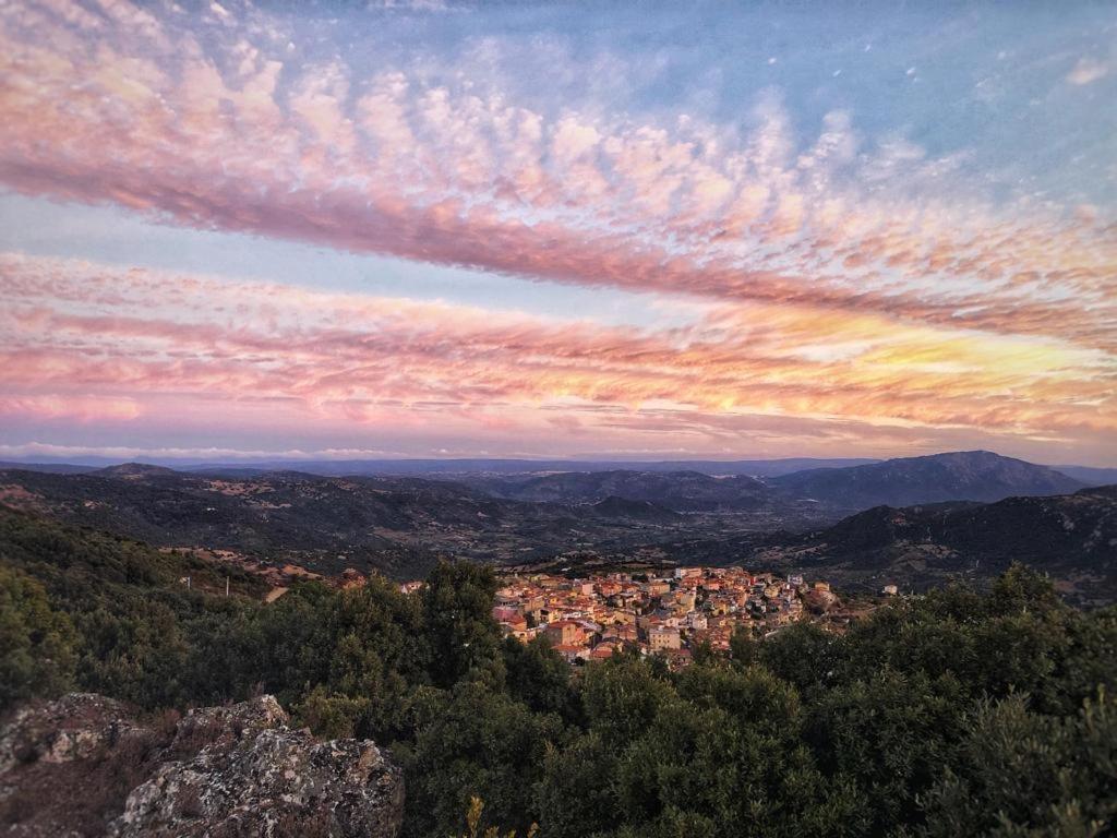 Orgosolo B&B Sardegna エクステリア 写真