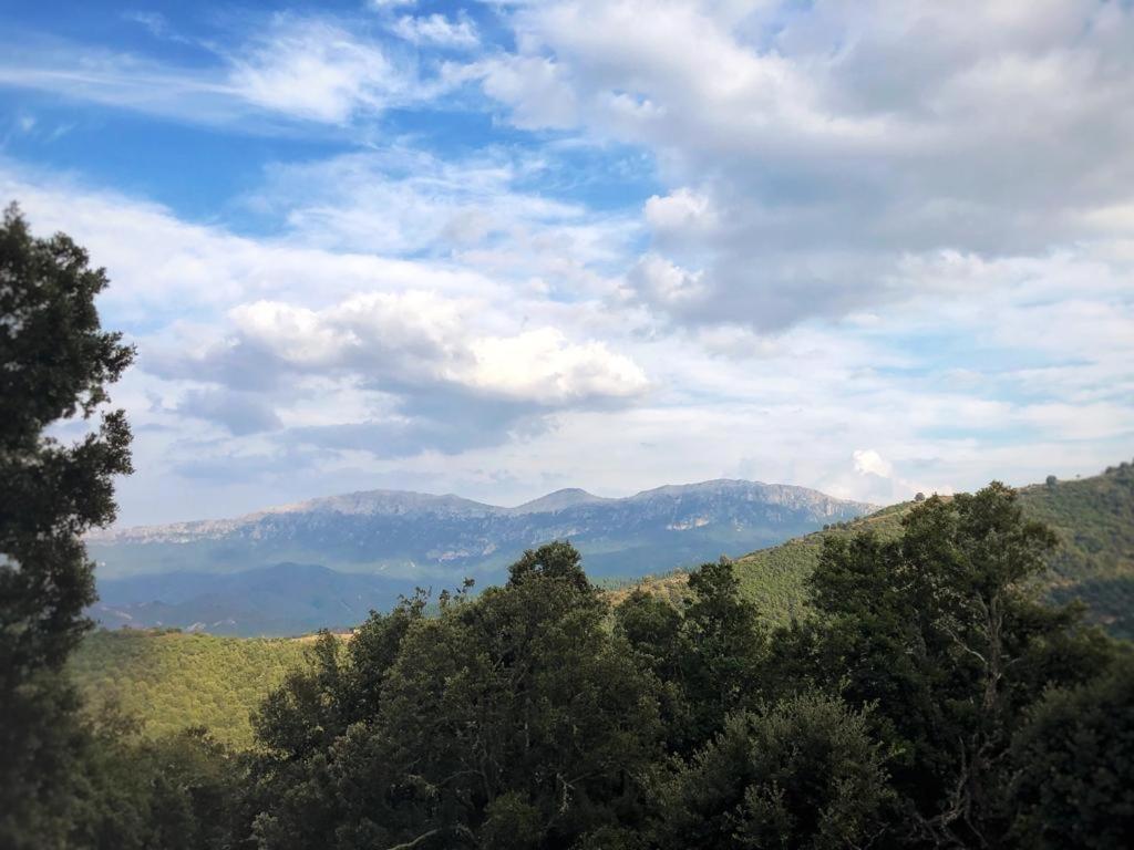 Orgosolo B&B Sardegna エクステリア 写真