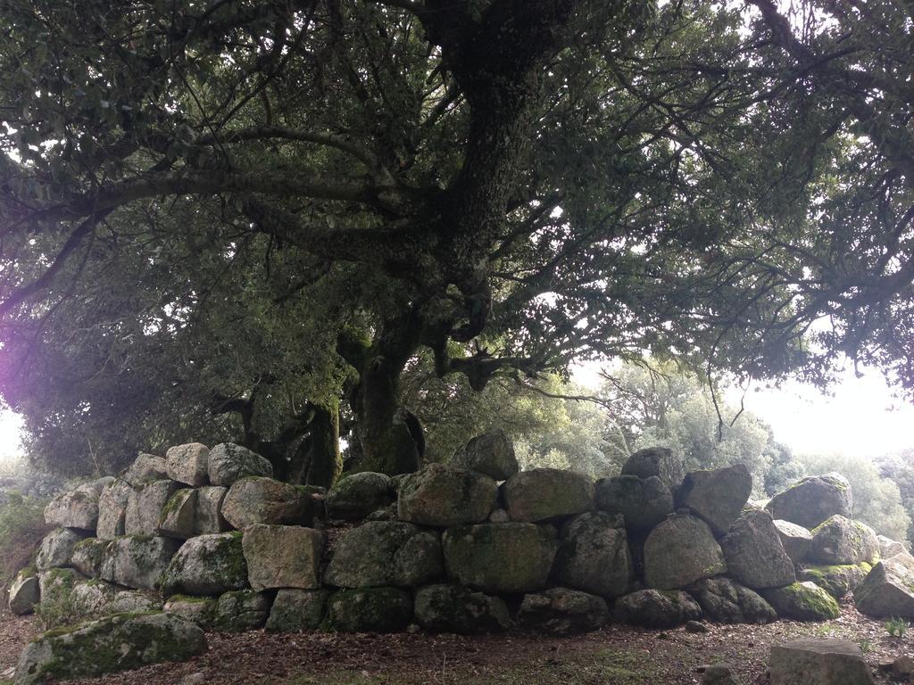 Orgosolo B&B Sardegna エクステリア 写真